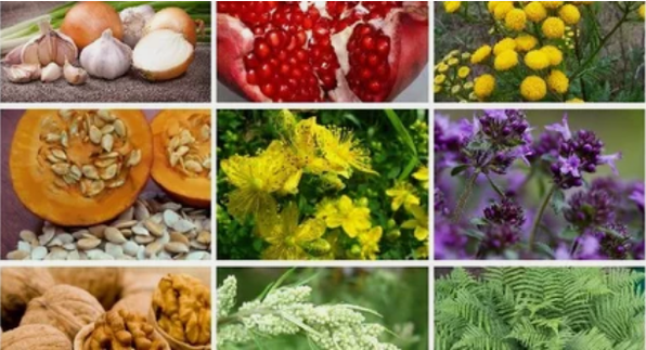 Treatment of parasites in the human body with popular medicines