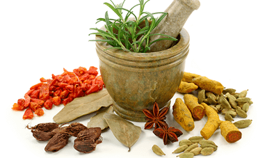 methods of treating parasites in the body